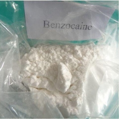 Benzocaine nhà cung cấp