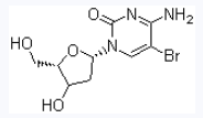 CAS 1022-79-3 5-bromo-2'-deoxycytidine suppliers