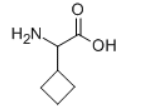 CAS 28024-69-3 DL-Cyclobutylglycine suppliers